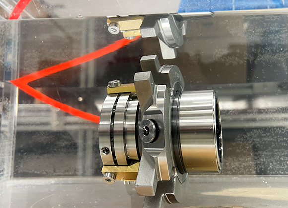 <em><strong>Etapa 6</strong></em>